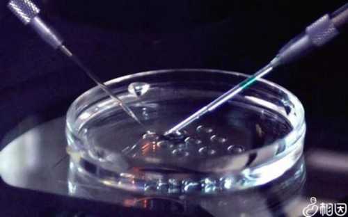 阿克苏供卵助孕医院，附供卵三代生男孩条件参考