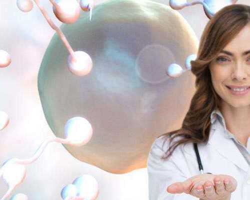 曼谷代孕机构_国内地下供卵公司,孕妇梦见喜鹊是什么兆头?4种情形梦境解读