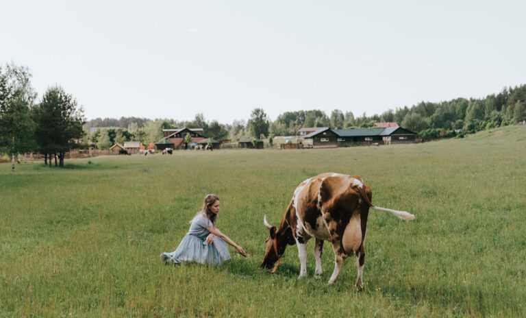 羊水穿刺结果多久出来