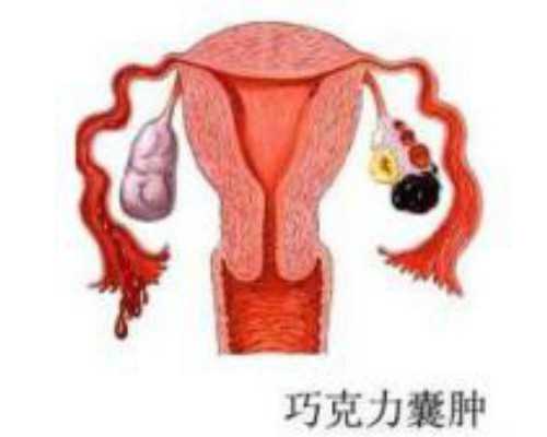 专业代孕咨询机构_55万包成功零风险,胚胎放入子宫后游走过程！胚胎放入子宫