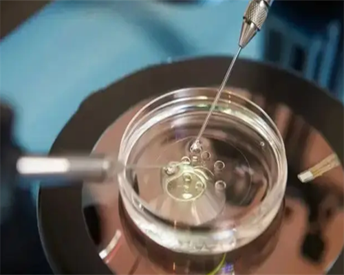 海口做助孕过程经历(海口代生在线咨询的费用)