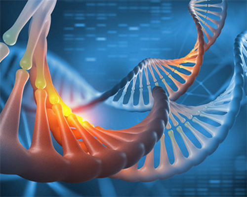 二代代孕的费用-国内试管代怀男宝,
              潜江市中心医院三代试管婴儿费