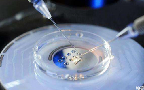 株洲私人试管供卵去哪医院前10推荐