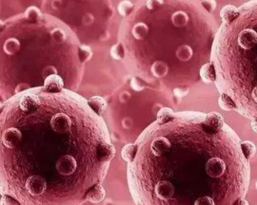 南宁2026年借卵试管三代生子费用一览表（基因筛查费和卵子费用占大头）    