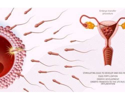 
              国内nk细胞疗法注射一针多少钱？
            