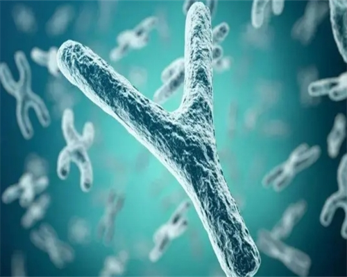 借卵助孕公司，什么是多囊卵巢综合症?